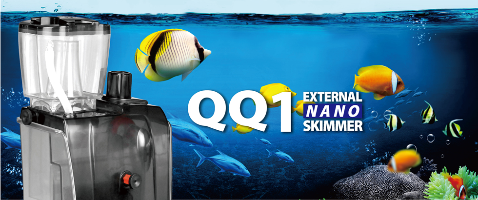 NANOスキマー『QQ1』でマメスナ飼育にチャレンジ！ | 生麦海水魚センター