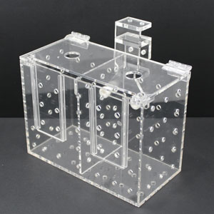 マルチボックスmb 2s 生麦海水魚センター