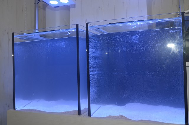 オーバーフロー水槽設置作業 東京 生麦海水魚センター