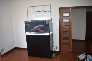 オーバーフロー水槽設置作業(埼玉県) | 生麦海水魚センター