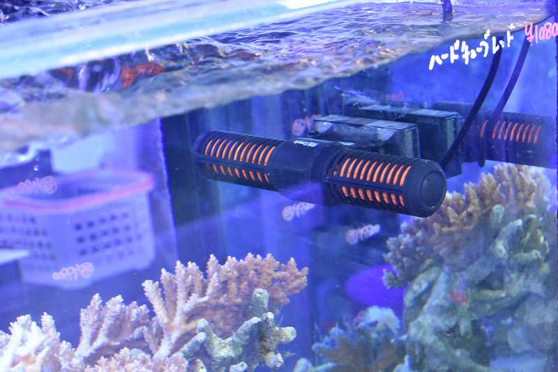 贈物 Maxspect MJ-GF4K 水流ポンプサンゴ 熱帯魚 水流ポンプ アクア