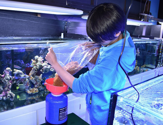 浄水器 旧型「クラーケン」イオン交換樹脂 海水魚 サンゴ - ペット用品