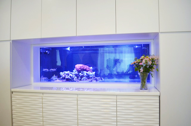 一番最安 【最終値段】アクリル水槽1800×900×600Hオーバーフローセット 魚用品/水草