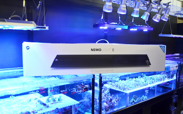 人気 おすすめ マーフィード ＮＥＭＯ ＬＩＧＨＴ ２ アクアマリン