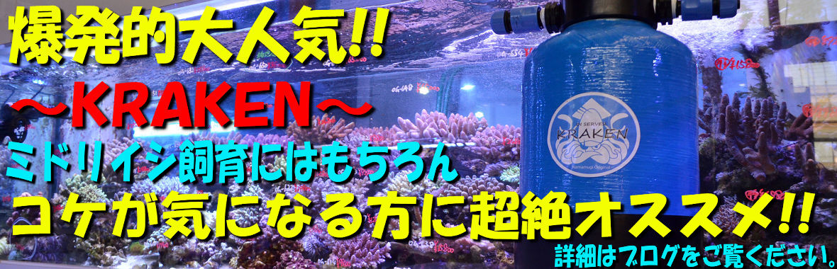 コケにお悩みの方必見！DIウォーターサーバークラーケン大好評販売中