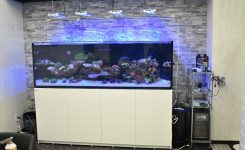 4連休限定 ゼンスイクーラーご購入でオーバーホール無料券プレゼント 生麦海水魚センター