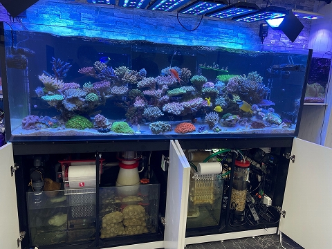 出張作業(リーフマット1200 )東京都 | 生麦海水魚センター 出張作業(リーフマット1200 )東京都 | 生麦海水魚センター