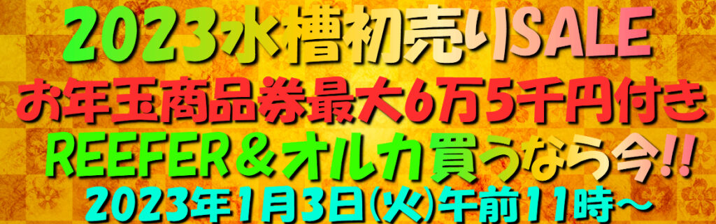 即値引き？！超高額商品券？！選べる初売り水槽SALE!! | 生麦海水魚センター