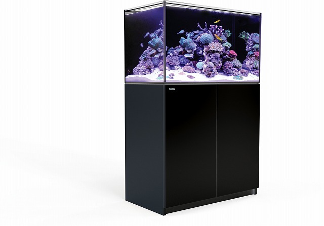 訳アリ?訳無し?！REEFER G2持ち帰り限定大放出！ | 生麦海水魚センター