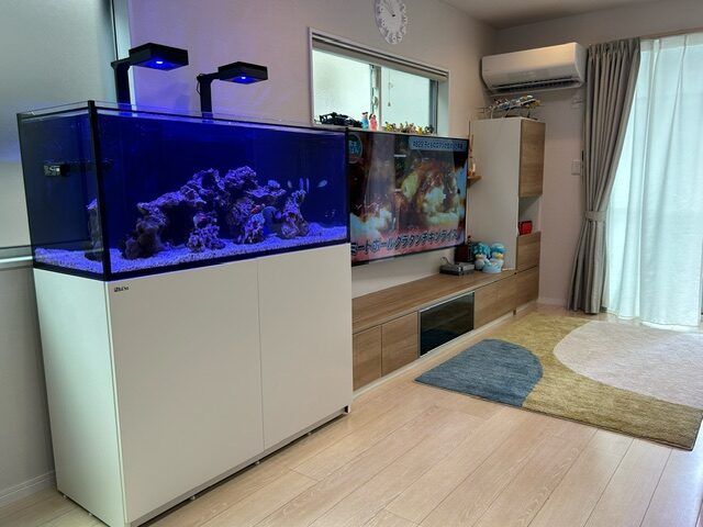 水槽設置】REEFER350 DX『 in 広島 』 | 生麦海水魚センター