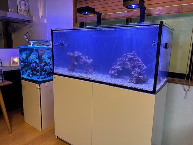 水槽設置】REEFER350 DX | 生麦海水魚センター
