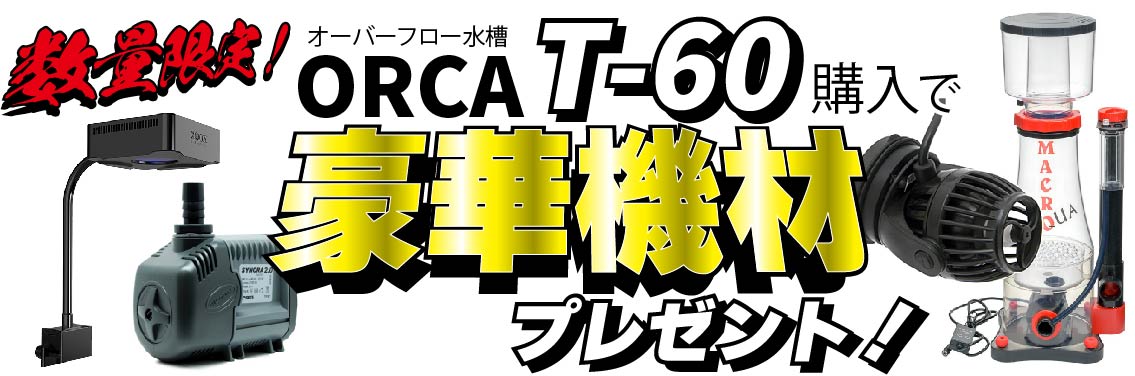 水槽購入で機材が付いてくる！？】ORCA T-60購入で選んだ機材を