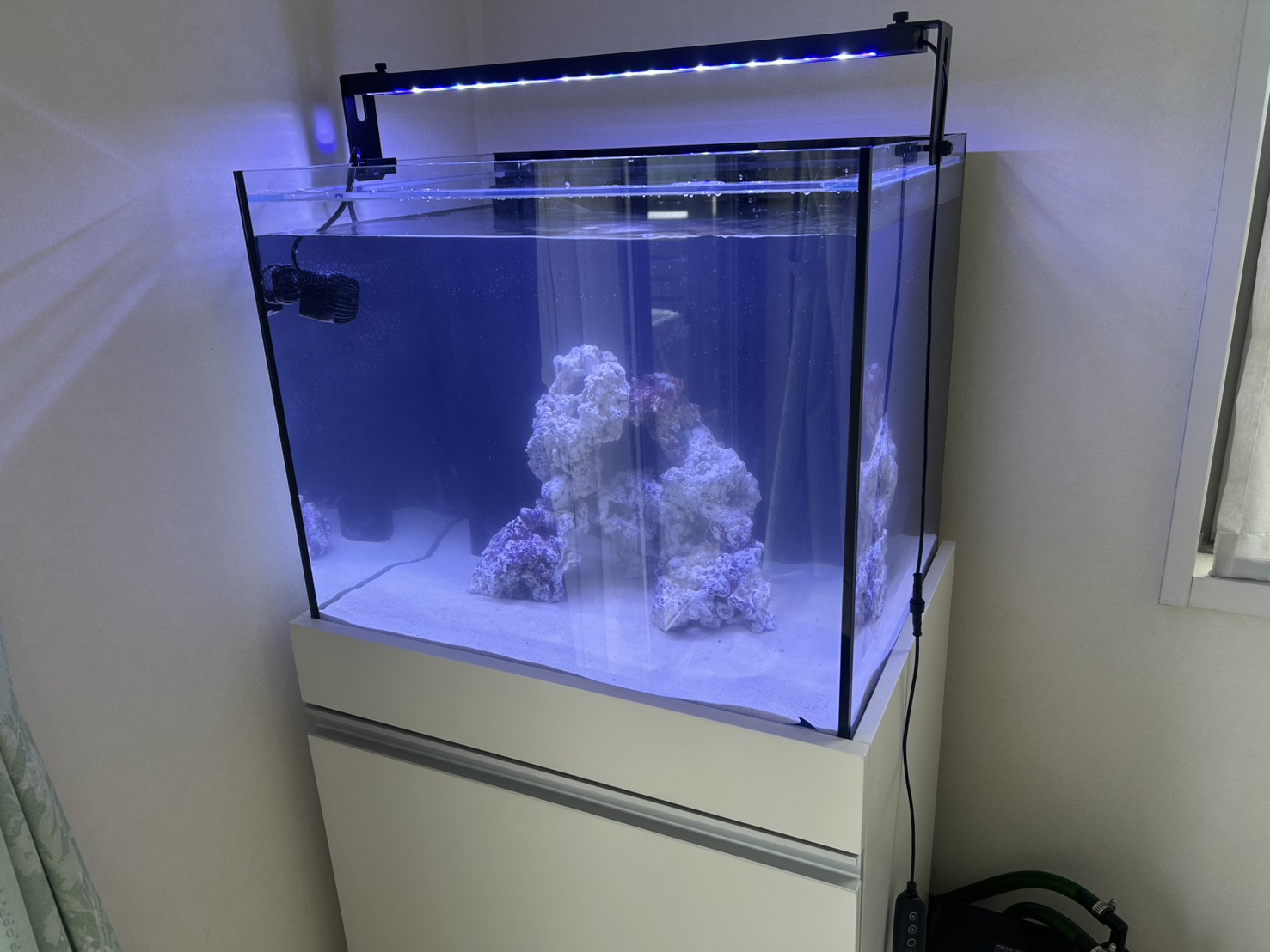 水槽設置】ORCA T-60＋ 横須賀市 | 生麦海水魚センター